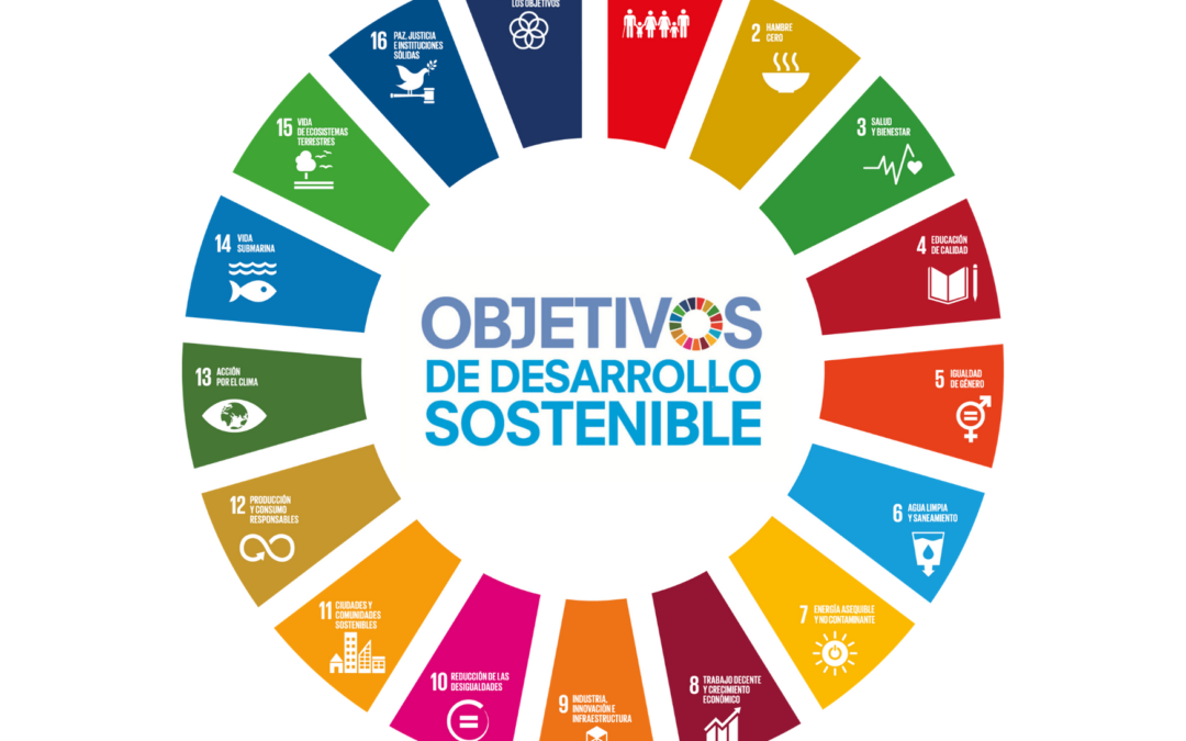 Garapen Jasangarrirako Helburuen nabarmentasuna eta balorazioa Bizkaian