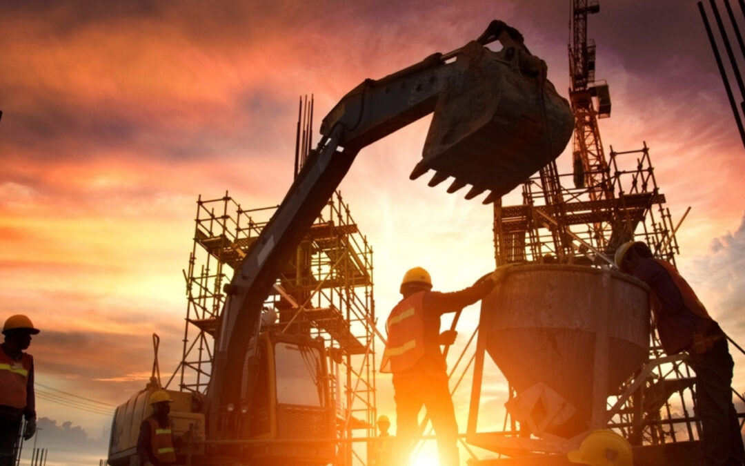 Jarduera-tasa, sexuaren, ikasketen eta adinaren arabera. BAI eta BJA, Bizkaia, EAE eta Estatua, 2024ko laugarren hiruhilekoa.