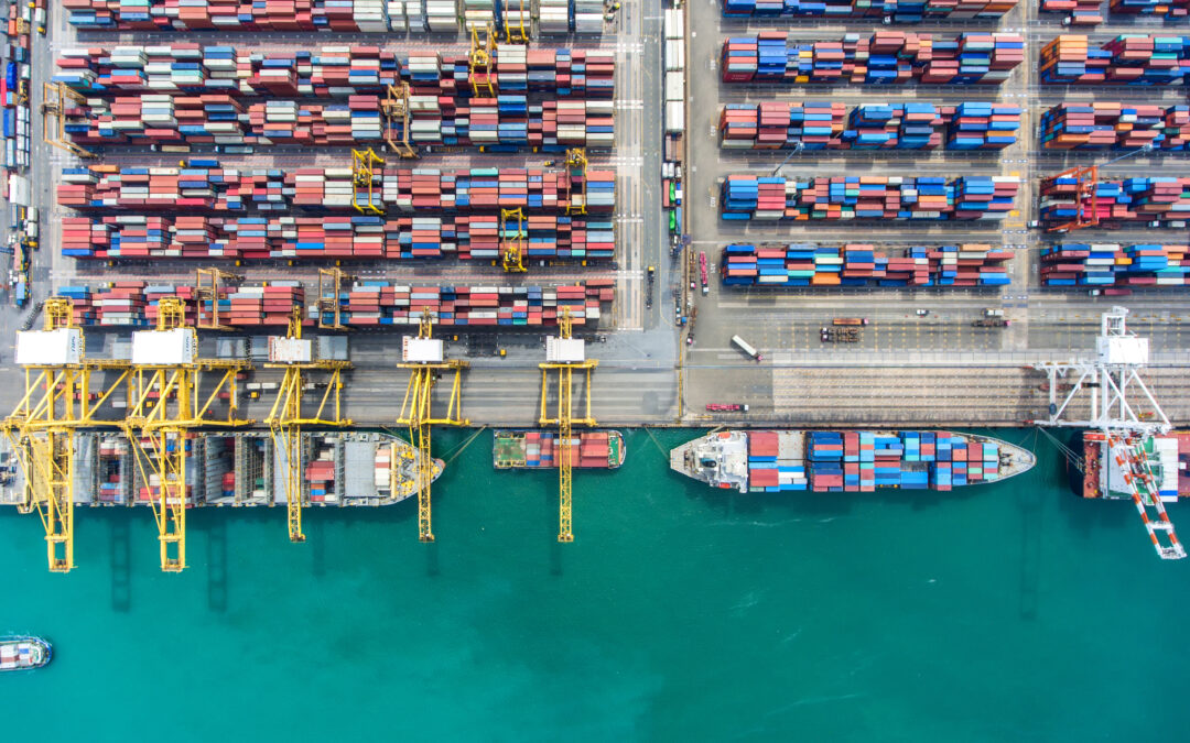 IPI Bizkaian sektoreka. 2024ko laugarren hiruhilekoa.