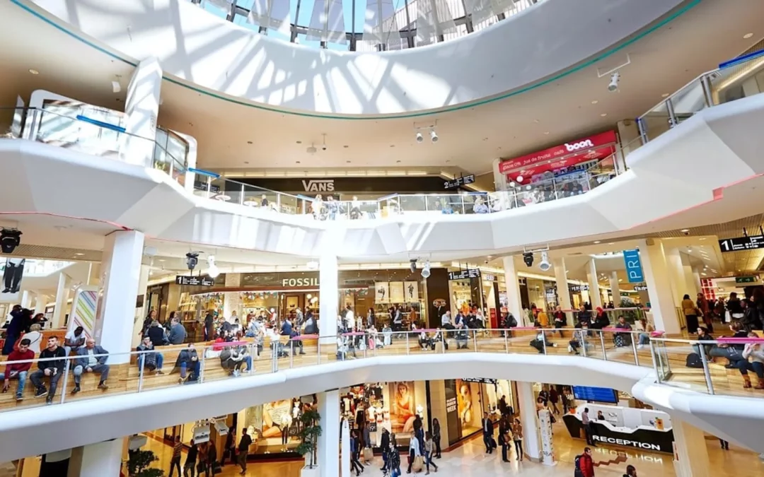 Azalera handietako salmenten indizea. Bizkaia eta EAE, 2024ko lehen hiruhilekoa.