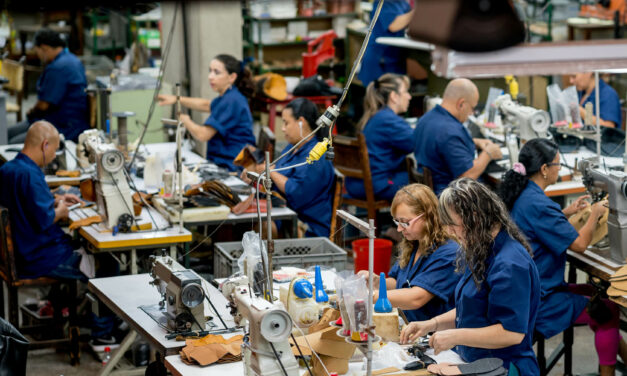 Tasa de ocupación. Bizkaia, CAV y Estado, tercer trimestre de 2025.